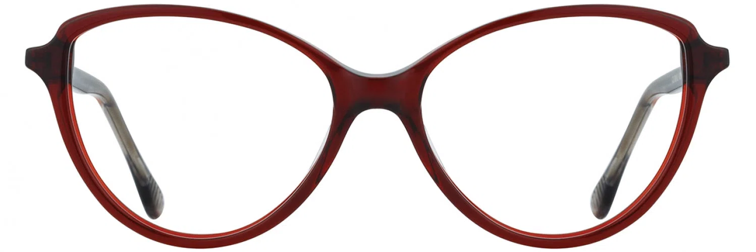 Alan J AJ504 Eyeglasses - view 19